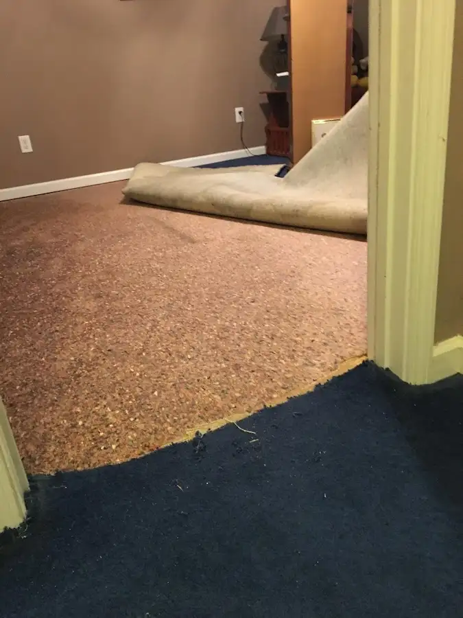 Carpet pad removal revealing water damage during Water Mitigation Services in Virginia Beach