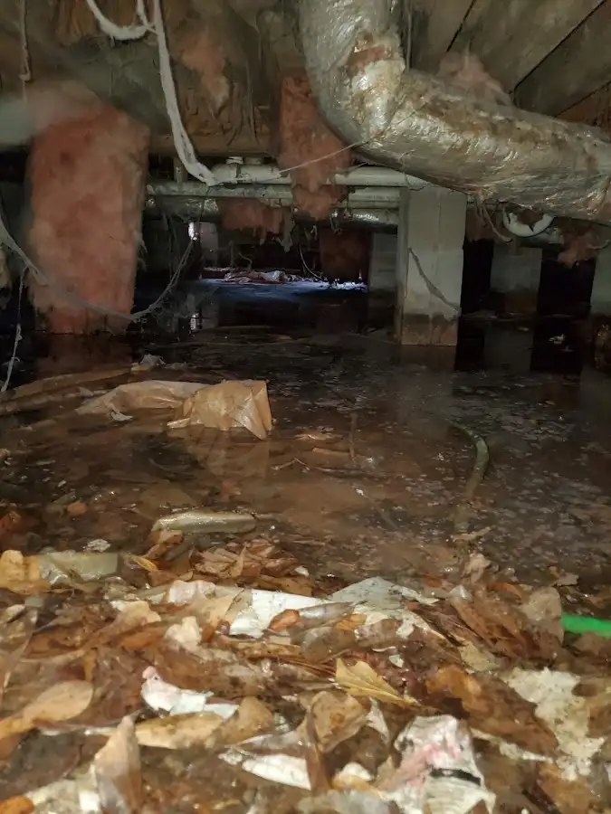 Crawl space flood assessment for Commercial Water Damage Restoration in Virginia Beach