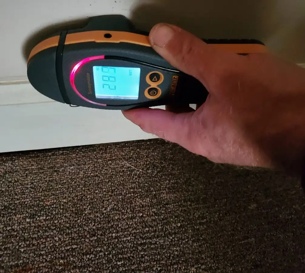 Moisture detection at baseboard during Mold Inspection & Testing in Virginia Beach